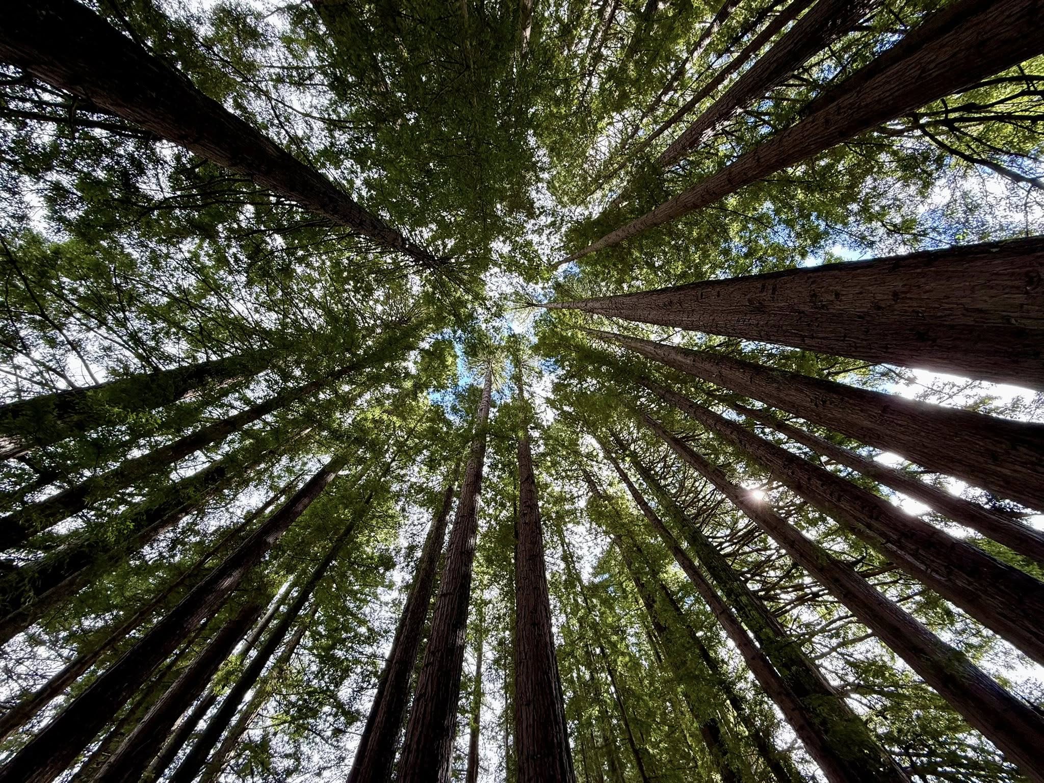 article_img_blogs_Wc393P