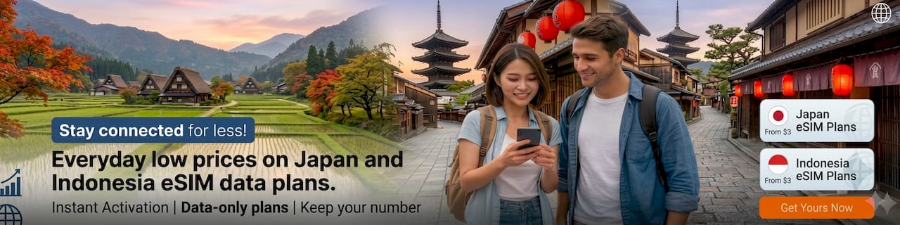 e-sim-works-background_sections--18299267285246__home_banner_iwKxDB